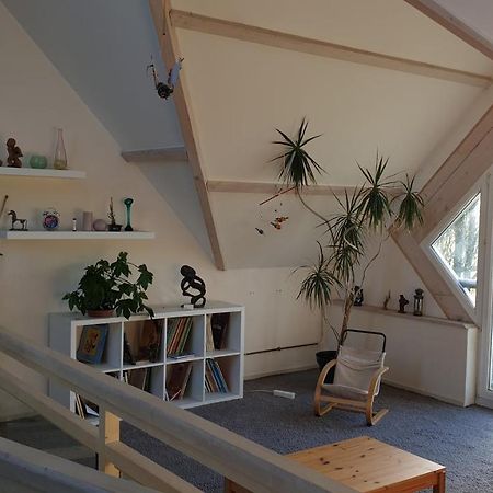 Grande Maison Avec Spa Proche De Caen Et De La Mer Brouay Esterno foto