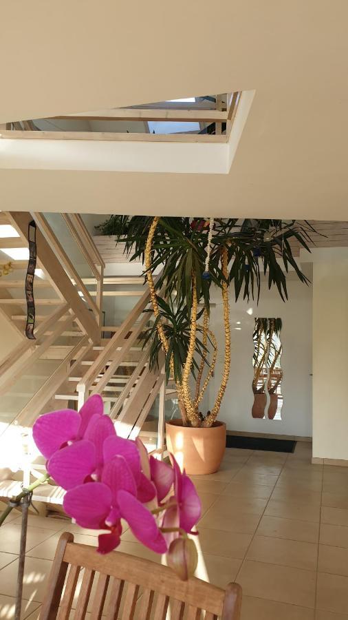 Grande Maison Avec Spa Proche De Caen Et De La Mer Brouay Esterno foto
